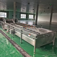 Voedselveilige fruit- en groentewasser voor de verwerkingslijn van verse producten