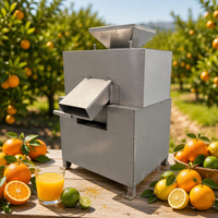 Nouveau presse-agrumes électrique commercial pour oranges, citrons, citrons verts mexicains et citrons verts du désert australien