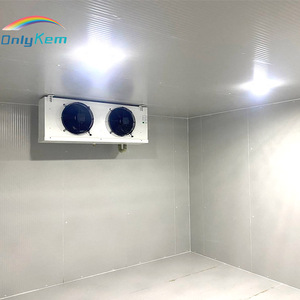 Cella Frigorifera Modulare 4*3*2.5m, Congelatore Walk-in per Pollo - Product Image 3