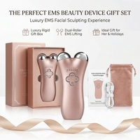 Masseur facial électrique OEM, produit de beauté, appareil de beauté portable, utilisation à domicile, outils de soin de la peau, cadeau de luxe de haute qualité pour femmes