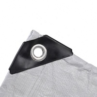 Bâche en PE blanche à double revêtement durable pour une utilisation polyvalente