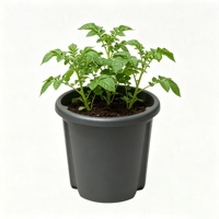 Pot de plantation de pommes de terre écologique en plastique durable, bac à tubercules, conteneur de culture de légumes pour jardin domestique