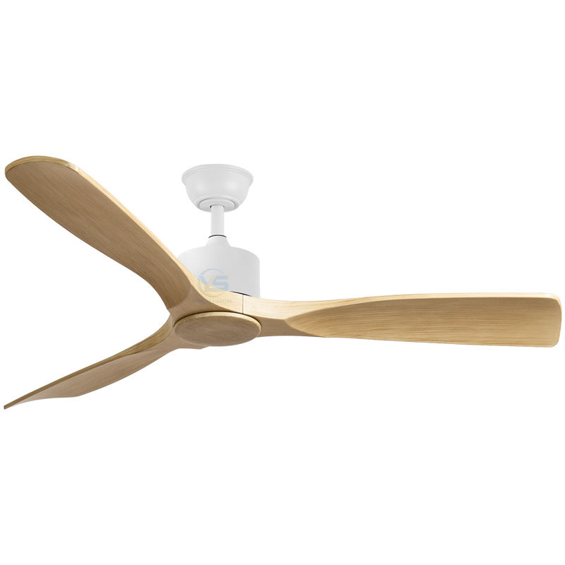 ขาว + เม็ดไม้