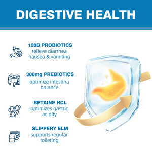 OEM ODM แคปซูลโปรไบโอติกประจำวันเอนไซม์ย่อยอาหารสารต้านอนุมูลอิสระพรีไบโอติกสำหรับสุขภาพลำไส้สารอาหารสำหรับหญิงตั้งครรภ์ - Product Image 4