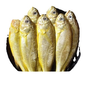 Corvina Amarilla Pequeña Fresca Congelada Capturada en el Mar, Caja Entera de Mariscos 500g, Venta al por Mayor, Pescado de la Mejor Calidad A+, Listo para Consumir - Product Image 1