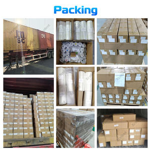 高品质DTF卷膜30厘米/33厘米/60/厘米/卷/热剥离/冷剥离热卖 - Product Image 6