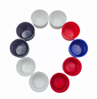 Capuchon 28 mm 1810 avec joint d'étanchéité et couvercle pliable standard en plastique pour bouteille d'eau/jus/soda