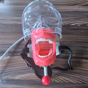 Typodont <strong>Dental</strong> <strong>Simulator</strong> Anatomical Model Simple Head Teeth Dentist Students Dentistry Training <strong>Unit</strong> - Product Image 2