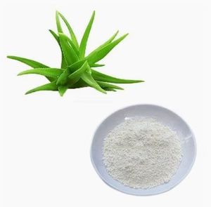 <span class=keywords><strong>Aloe</strong></span> <span class=keywords><strong>Barbadensis</strong></span> Leaf Juice Aloin/Emodin <span class=keywords><strong>Aloe</strong></span> <span class=keywords><strong>Vera</strong></span> Gel liofilizado extrato em pó - Product Image 4