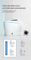 WC intelligent à chasse automatique à capteur de luxe pour salle de bain, bidet en céramique, une seule pièce, toilette intelligente