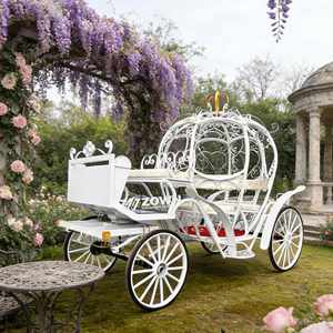 电动无马车 马车 马力车 脚踏马车 南瓜造型 真人大小灰姑娘马车 - Product Image 1