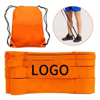 Juego de Bandas Elásticas de Resistencia Personalizadas con Logotipo, Bandas de TPE Impermeables para Ejercicio, Gimnasio y Dominadas, con Resistencia Extendida de 41 Pulgadas para Deportes