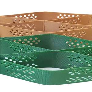 Grille <span class=keywords><strong>de</strong></span> pavage en géocell HDPE |   Système <span class=keywords><strong>de</strong></span> stabilisation des allées et des routes en plastique pour murs <span class=keywords><strong>de</strong></span> soutènement et fixation du sol - Product Image 2