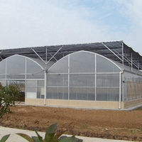 Système hydroponique, serre en polytunnel, film plastique, tomate, agriculture multi-spans, serre