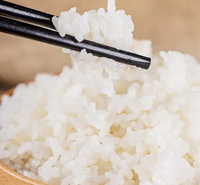 Dehydrated Rice Instant Rice Man-made Rice Food Ingredient for Porridge Snack