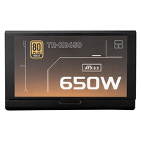 써멀라이트 TR-KG650 650W 골드 파워 서플라이 모듈 냉각 기능 데스크탑 서버 컴퓨터 700W 출력 ATX3.1 650W DC 최대 12V