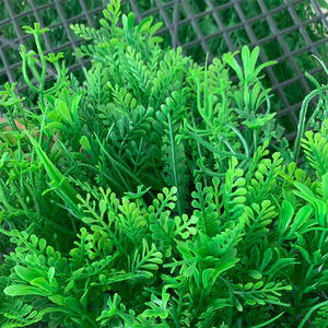 <b>Artificial</b> Five Blessings <b>Grass</b> Lawn 12cm High Simulation Leaves Outdoor Green Wall Decoration - Product Image 1