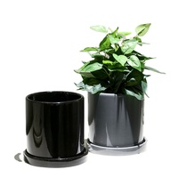 Petit Pot de fleurs décoratif en céramique, personnalisé, bon marché, Pots blancs de plantes avec trou de Drainage