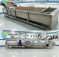 Industriële zware wasmachine met bubbels voor het massaal wassen van fruit en groenten