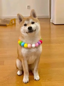 Meistverkauftes ODM/OEM Neues Süßes Markron-Farbiges Niedliches Haustier-Halsband mit Plüschball für Katzen und Kleine Hunde - Product Image 2
