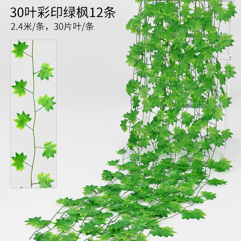 Paquet de 30 feuilles d'érable vertes imprimées (12 bandes par paquet)