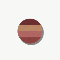 Poudre végétalienne de maquillage de marque privée de vente chaude Palette de contour de visage bronzant de 4 couleurs
