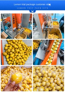 Full Automatic Orange Lemon Passion Fruit Plastic Wrap Vertical Packaging Machine with 650W <b>Motor</b> & Pump - Product Image 4