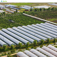 Serre agricole commerciale personnalisée en Chine, grande tunnel unique à plusieurs travées en film PE pour l'agriculture et la plantation, modèle populaire