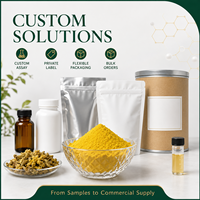 Pabrik LongBio Menyediakan Ekstrak Kuncup Bunga Sophora Japonica Quercetin 98% HPLC Bubuk Kuning Alami Bahan Suplemen Massal