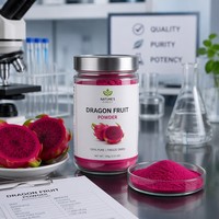 Natuurlijk Drakenvruchtenpoeder FVP-33 Rood Pitaya Poeder Halal Gecertificeerd Supplement 100% Wateroplosbaar Plastic Verpakking