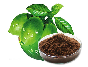 Extracto de planta surfactante natural <span class=keywords><strong>Areca</strong></span> <span class=keywords><strong>Catechu</strong></span> extracto en polvo 10: 1 - Product Image 2