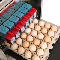 Máquina Automática de Impresión/Codificación/Marcado de Huevos TIJ de 6 Cabezales con Tinta Comestible, 1 Año de Garantía, Alta Productividad, Nueva Impresora para Bandejas de Huevos
