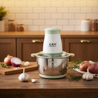 Blender portable électrique en acier inoxydable de 2 L, robot culinaire multifonction et mini hachoir à viande pour usage en restaurant