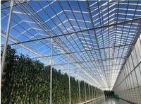 Invernadero Venlo de Vidrio Templado con Estructura de Acero y Sombreado Externo para Agricultura y Turismo