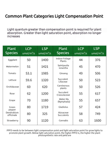 Lâmpada <span class=keywords><strong>LED</strong></span> de espectro completo COB IP65 de alumínio 220v T8 T10 T12 4 pés 40w 48w 65w para cultivo de vegetais e flores 8 pés - Product Image 6