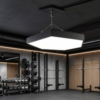 Plafonnier LED modulaire hexagonal pour salle de sport, studio de fitness