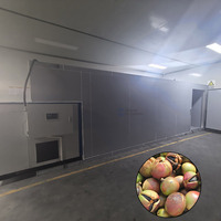 Séchoir à plateaux à pompe à chaleur pour figues, thé et fruits de camélia