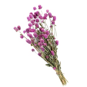 Fiori Secchi all'Ingrosso, Fiori di Amaranto Globo, Gomphrena Globosa Naturale Essiccata per Decorazioni Domestiche e Oggetti di Scena Fotografici - Product Image 1