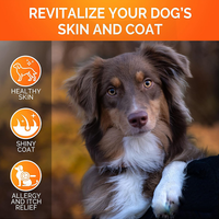 Huile de poisson liquide Oméga 3 pour chiens et chats (EPA DHA) – Complément nutritionnel favorisant la santé de la peau et du pelage – Fournisseur d'usine OEM/ODM