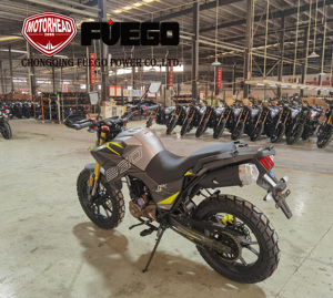 Bicicleta deportiva de <span class=keywords><strong>250cc</strong></span>, motocicleta de aventura, <span class=keywords><strong>Trail</strong></span> Ninja, Motos, FUEGO POWER TEKKEN, novedad - Product Image 1