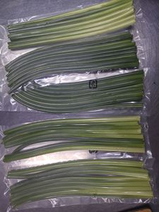 <span class=keywords><strong>Tige</strong></span> de pousse d'<span class=keywords><strong>ail</strong></span> vert de haute qualité nouvelle récolte de pousses d'<span class=keywords><strong>ail</strong></span> frais - Product Image 4