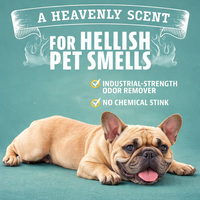 Éliminateur d'odeurs pour animaux domestiques, pour l'urine de chien et de chat |   Nettoyant pour taches de tapis avec huile d'orange naturelle |   Désodorisant aux agrumes