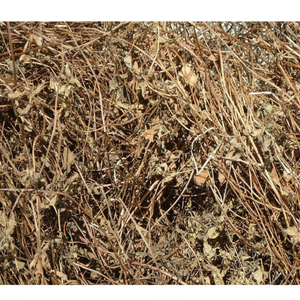 เมโซน่าไชนันซิสแห้งจากเวียดนามพร้อมใบหญ้าดำสำหรับทำขนมเยลลี่หญ้าแบบดั้งเดิม - Product Image 1