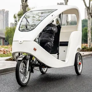 Low maintenance 80KM Long mileage Green power Electric Auto-Rickshaw City Taxi for passenger business