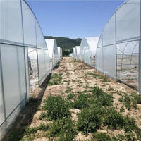 Serre de haute qualité facile à installer pour la plantation de fruits et légumes.