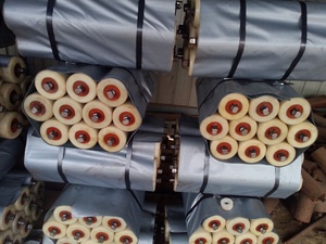 ลูกกลิ้งลำเลียงกันฝุ่น - โครงสร้างแบบปิดผนึกสำหรับสถานที่จัดการวัสดุผสม - Product Image 3