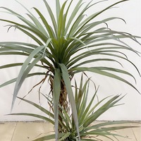Arbre de Yucca Artificiel en Pot, Grande Décoration de Sol pour Salon de Maison Modèle, Plante Bonsaï, Arrangement Paysager