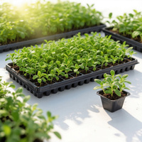 Plateau de semis en polystyrène PS carré à 128 alvéoles, profondeur 48 mm, pour herbes, fleurs et légumes-feuilles, format 1020, vente en gros
