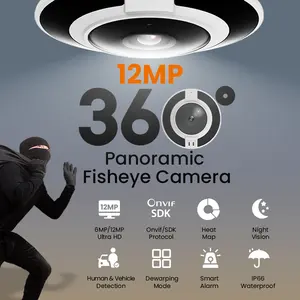 Cámara de ojo de pez con visión nocturna IR de seguridad, lente de ojo de pez, domo, 360 grados, panorámica, CCTV al aire libre, cámara IP de ojo de pez poe