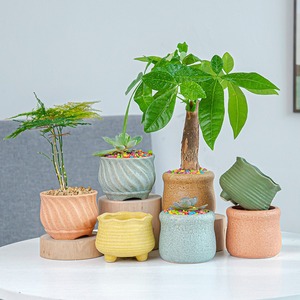 MSH Best Seller Pot Kelopak Bunga Unik Wadah Bergaya untuk Sukulen & Kaktus - Product Image 1